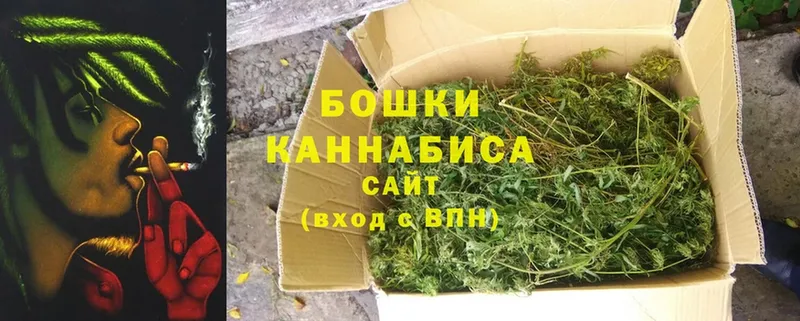 наркошоп  Белореченск  гидра сайт  Шишки марихуана Bruce Banner 